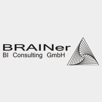 BRAINer - BI Consulting