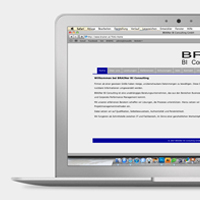 BRAINer - BI Consulting