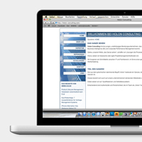 Holon Consulting